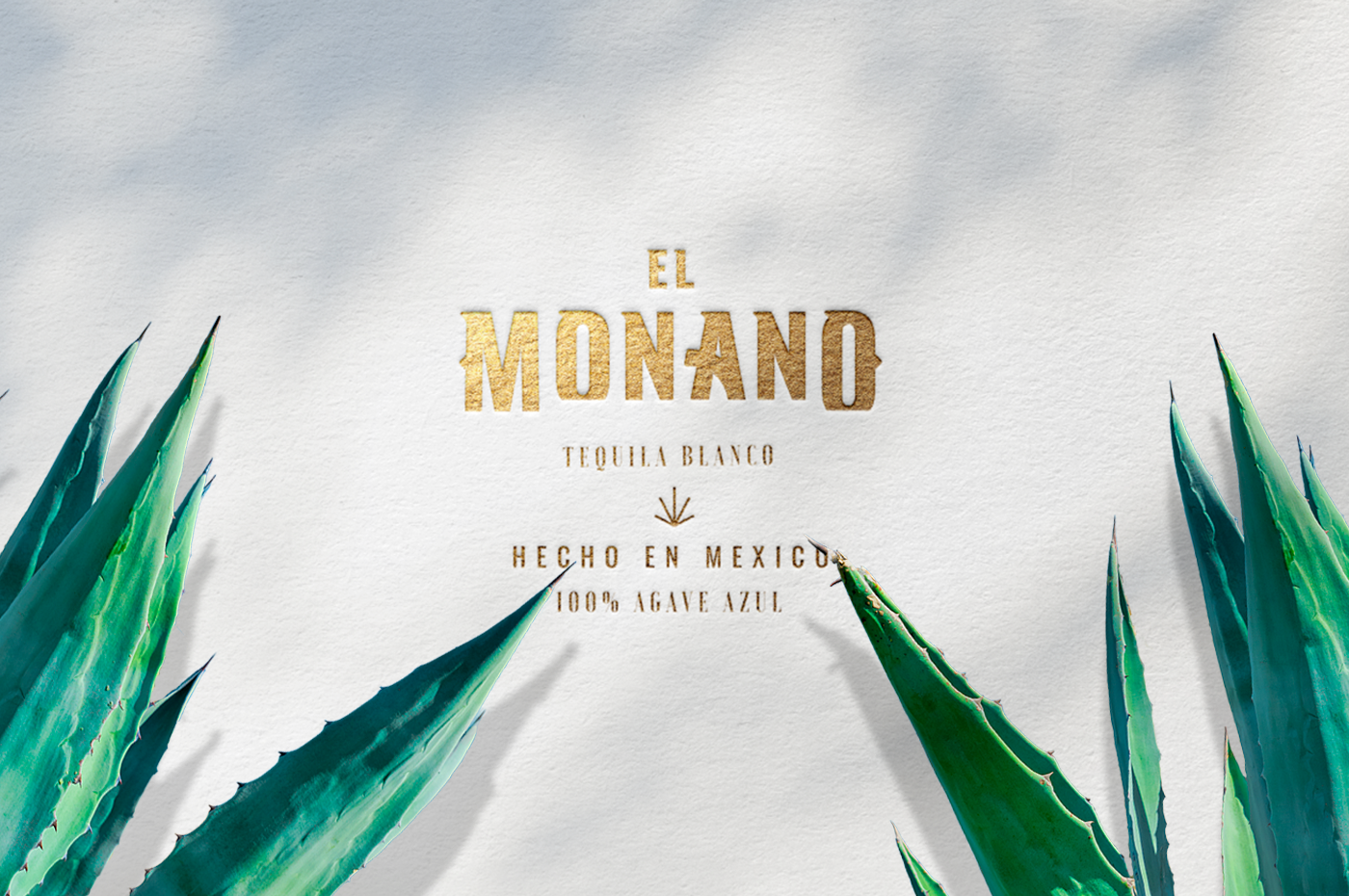tequila monano branding 01
