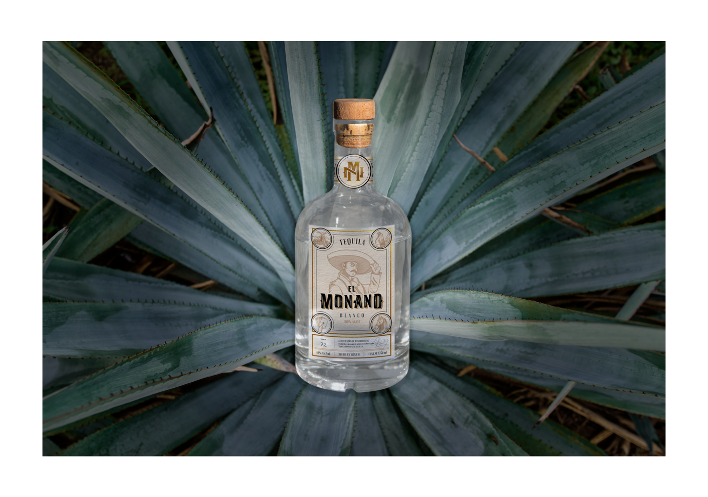 tequila monano branding 11